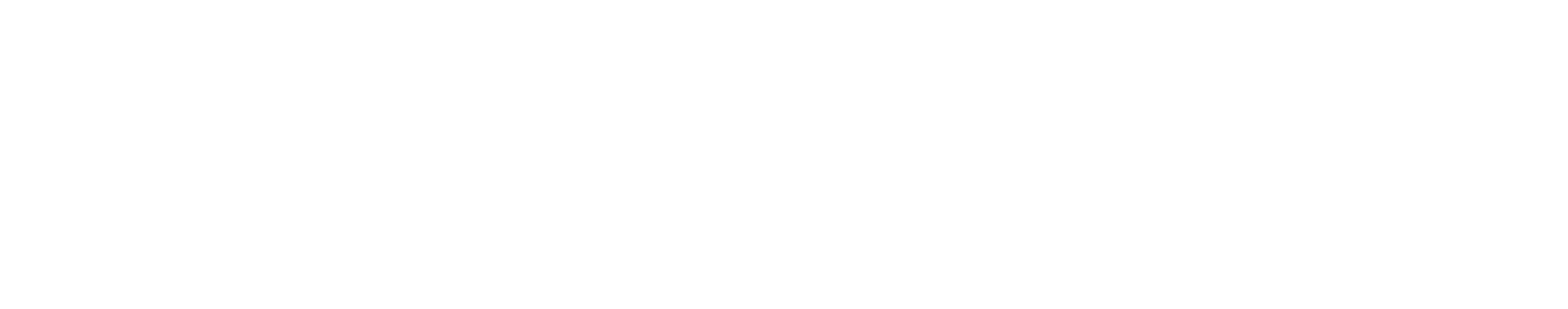 Julien Stores